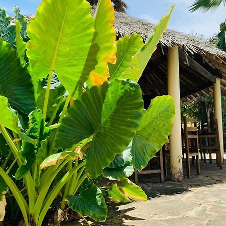 Ltorec Nyali Beach Exterior foto